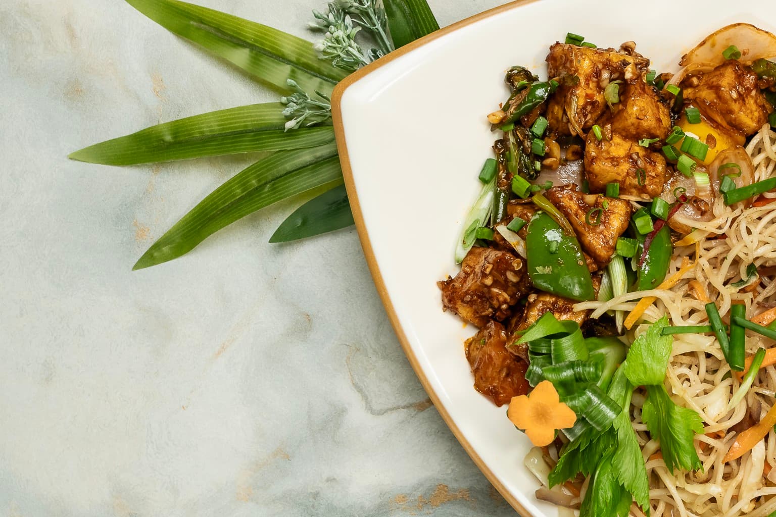 Hakka Noodles Plate